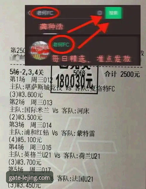 阿根廷新星重伤无缘世界杯，乐竟体育平台赛事信息深度评测